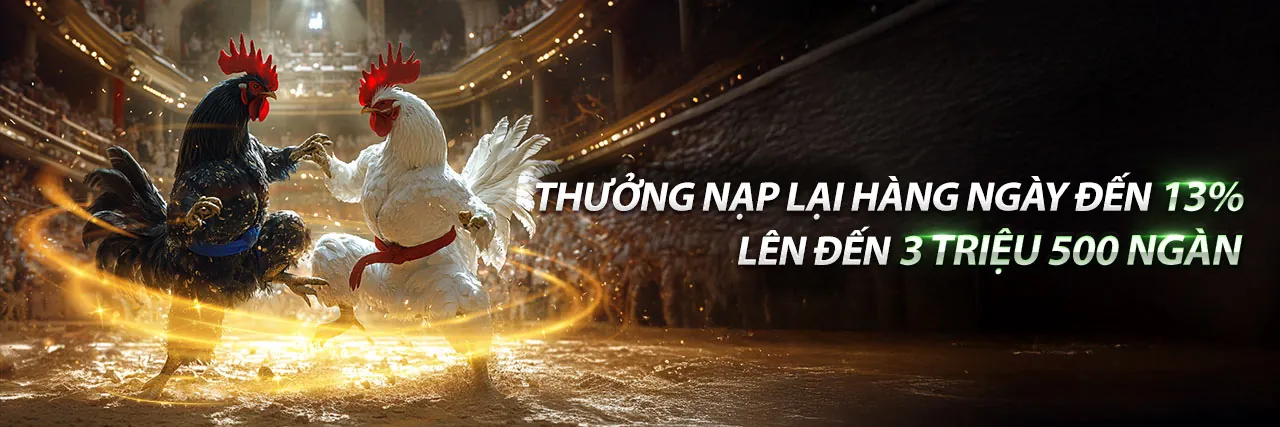 Đá gà trực tuyến sôi động trên gacam67 app 2026